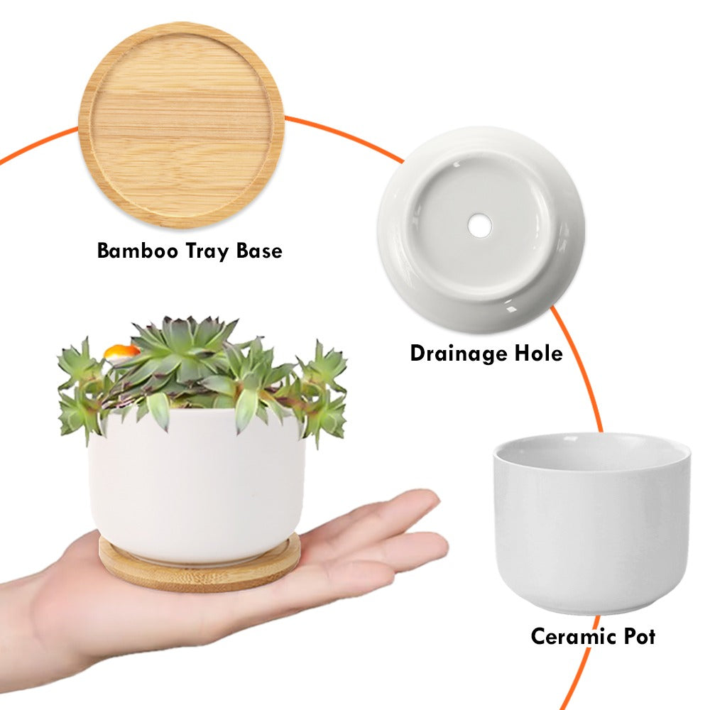 Ceramic Plant Pot
